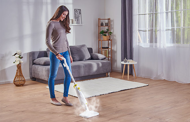 Rovus Nano Floor Steamer Plus